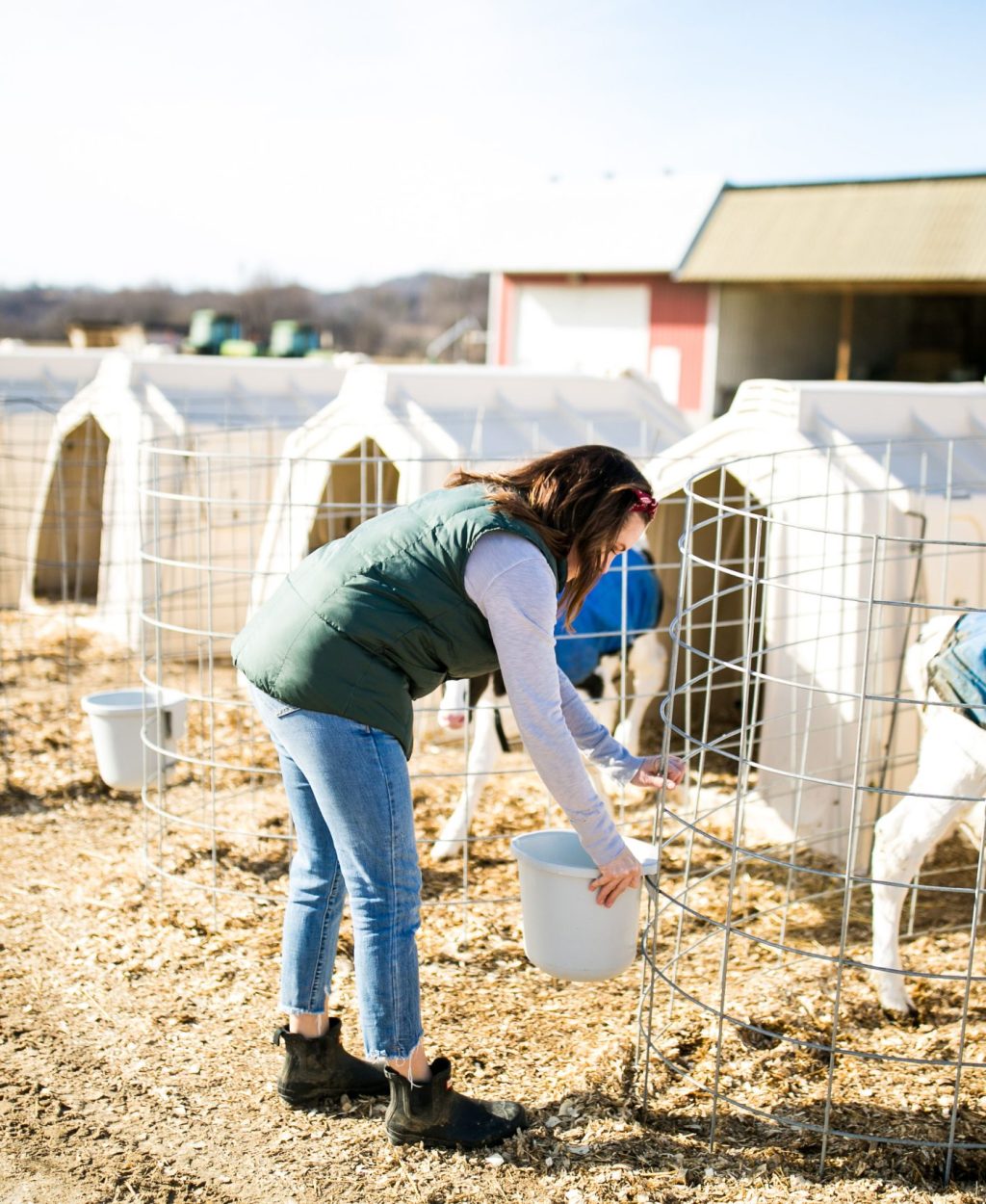 Annaliese Wegner - Modern Day Farm Chick - Feeding Calves - Content Creation